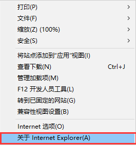 Internet Explorer(IE7)