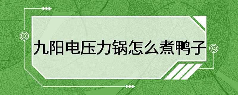 九阳电压力锅怎么煮鸭子