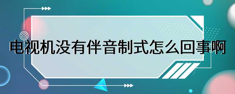 电视机没有伴音制式怎么回事啊