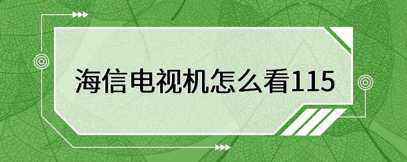 海信电视机怎么看115