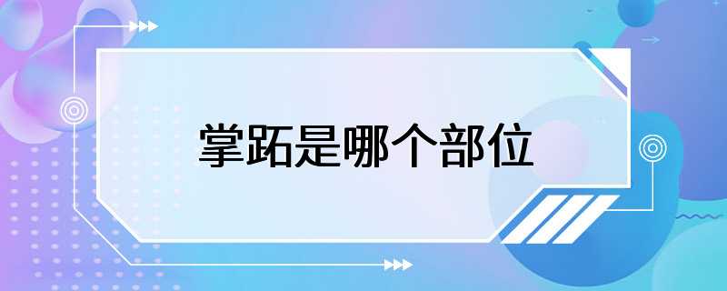 掌跖是哪个部位