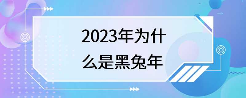 2023年为什么是黑兔年