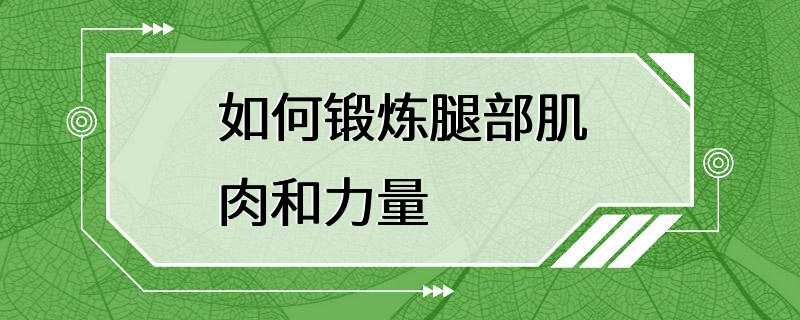 如何锻炼腿部肌肉和力量