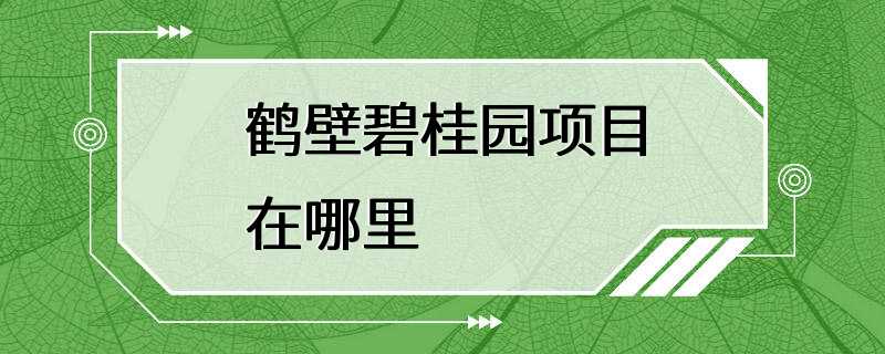 鹤壁碧桂园项目在哪里