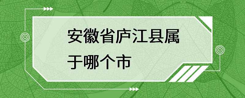 安徽省庐江县属于哪个市