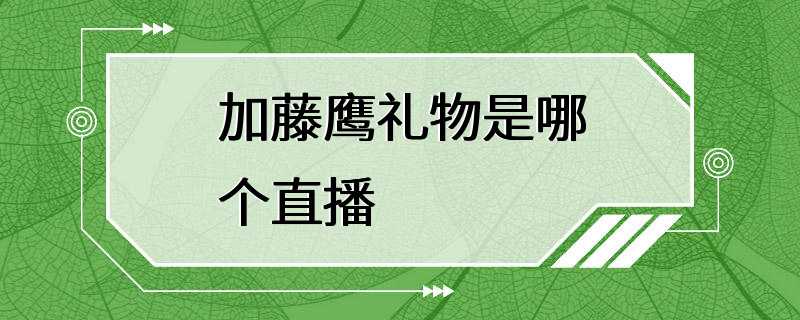 加藤鹰礼物是哪个直播