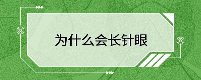 为什么会长针眼