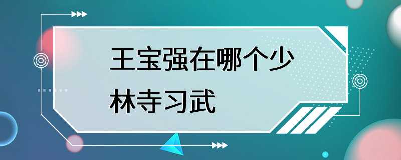 王宝强在哪个少林寺习武