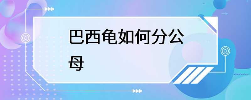 巴西龟如何分公母