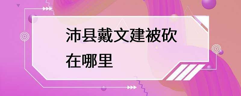 沛县戴文建被砍在哪里