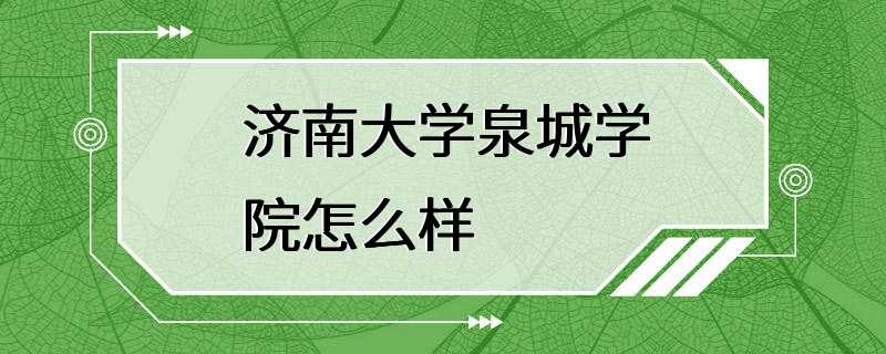 济南大学泉城学院怎么样