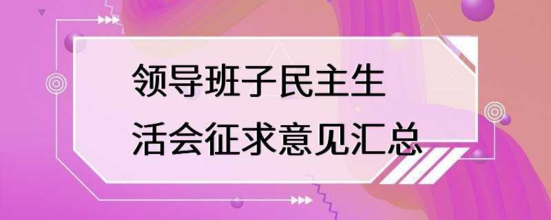 领导班子民主生活会征求意见汇总