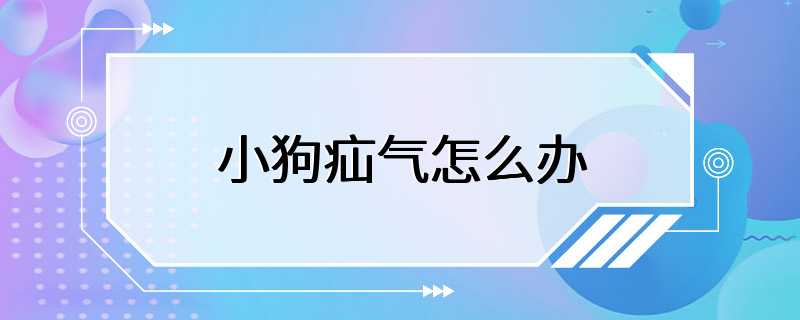 小狗疝气怎么办