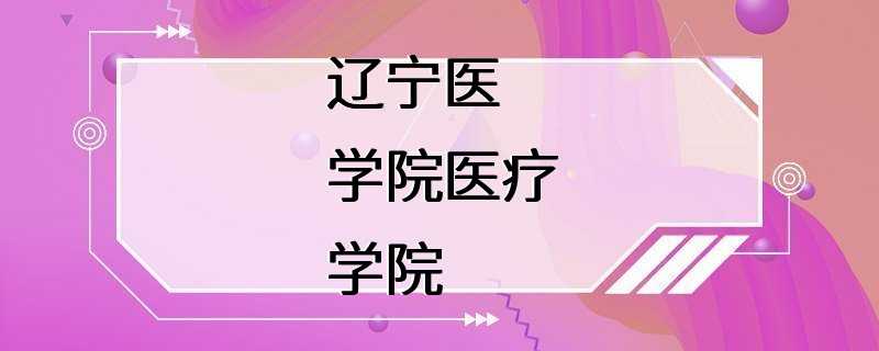 辽宁医学院医疗学院