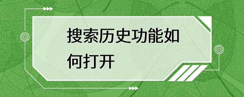 搜索历史功能如何打开