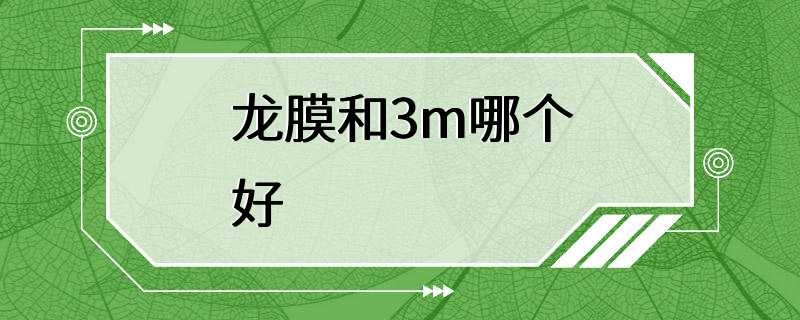 龙膜和3m哪个好