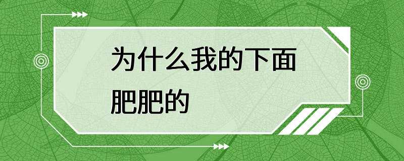 为什么我的下面肥肥的