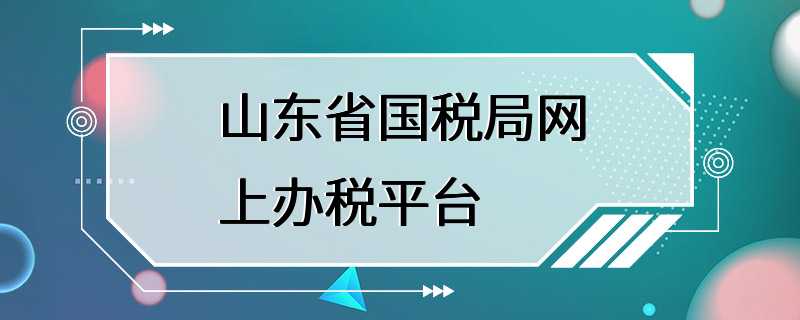 山东省国税局网上办税平台