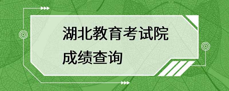 湖北教育考试院成绩查询