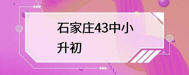 石家庄43中小升初