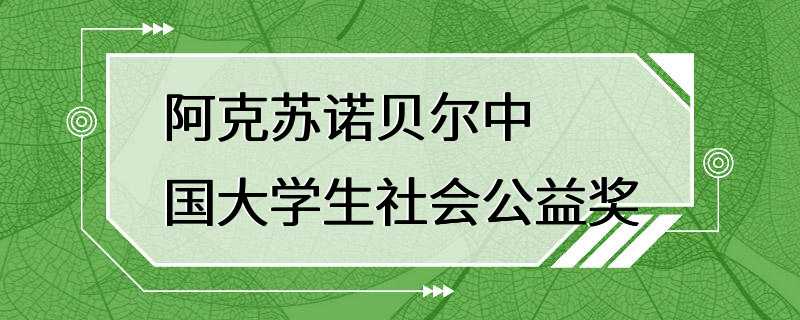 阿克苏诺贝尔中国大学生社会公益奖