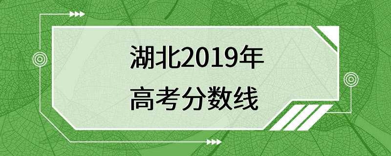 湖北2019年高考分数线