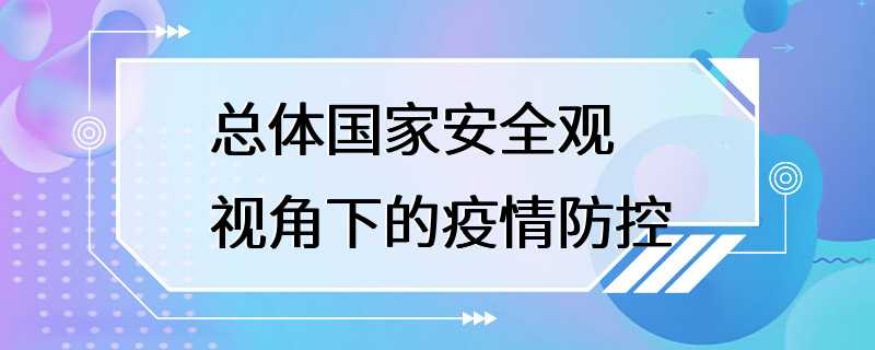 总体国家安全观视角下的疫情防控