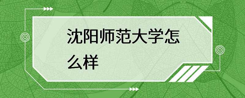 沈阳师范大学怎么样