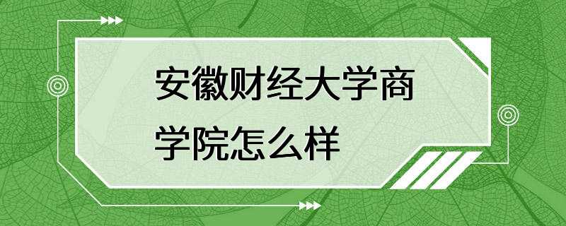 安徽财经大学商学院怎么样