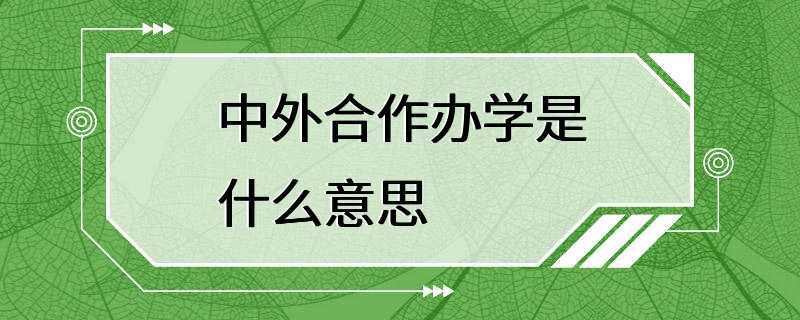 中外合作办学是什么意思