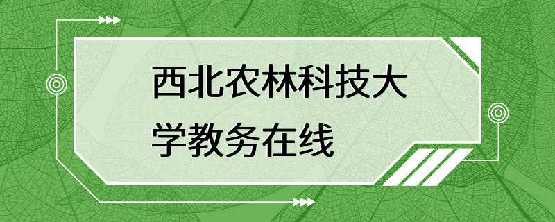 西北农林科技大学教务在线