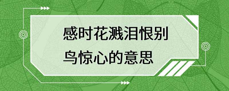 感时花溅泪恨别鸟惊心的意思