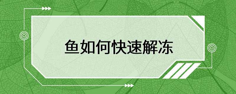 鱼如何快速解冻