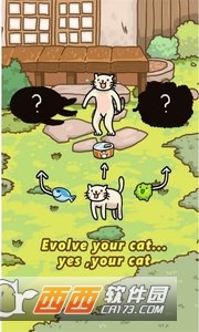 Cat Evolution World(CatWorld)