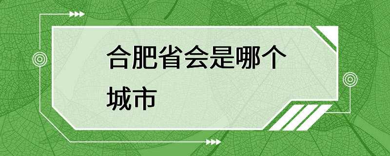 合肥省会是哪个城市