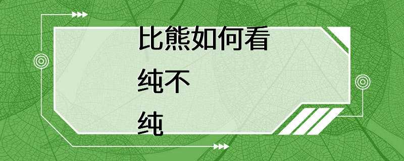 比熊如何看纯不纯