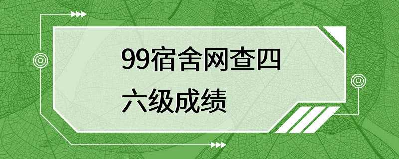 99宿舍网查四六级成绩