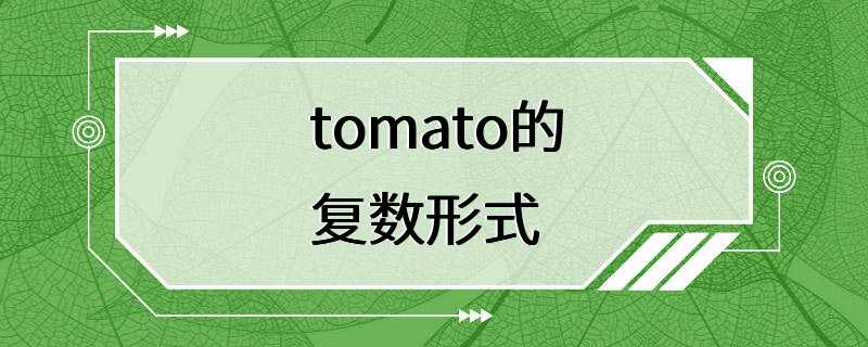 tomato的复数形式