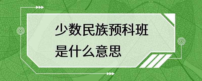 少数民族预科班是什么意思