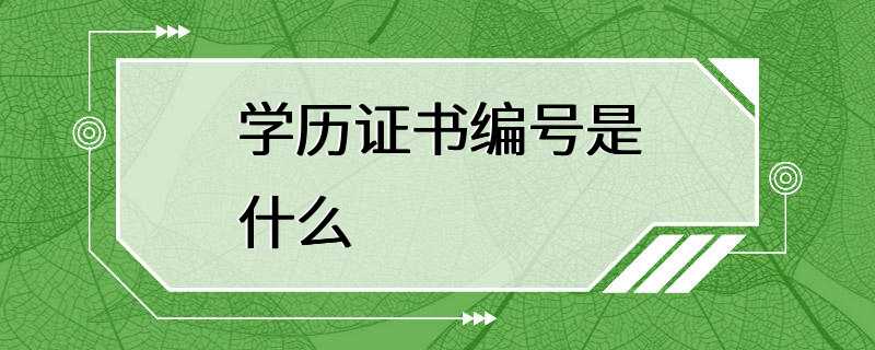 学历证书编号是什么