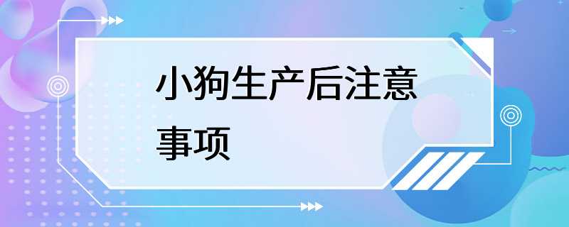 小狗生产后注意事项