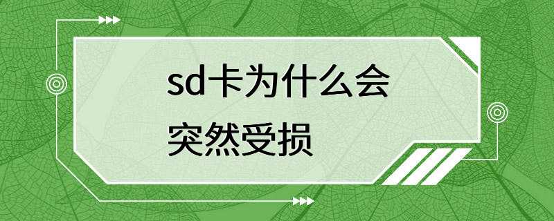 sd卡为什么会突然受损