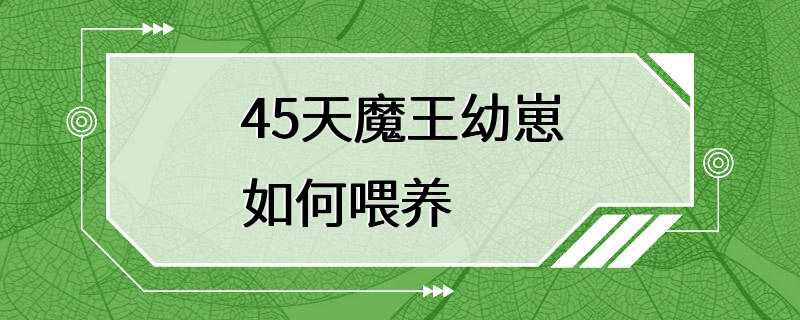 45天魔王幼崽如何喂养