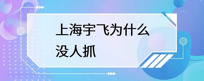 上海宇飞为什么没人抓