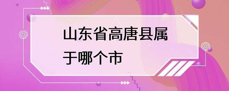 山东省高唐县属于哪个市