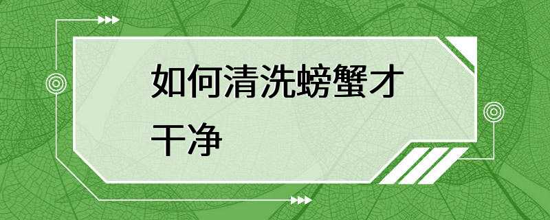 如何清洗螃蟹才干净