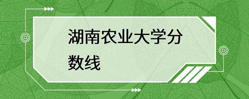 湖南农业大学分数线