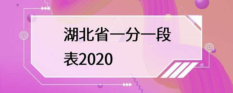 湖北省一分一段表2020