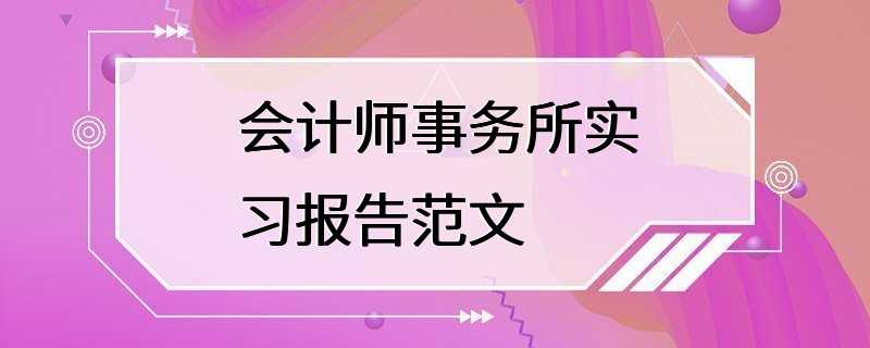 会计师事务所实习报告范文