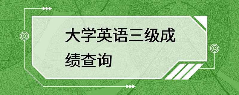 大学英语三级成绩查询